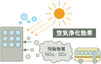 ポプラ95本分の空気浄化能力 ポプラ95本分の空気浄化能力