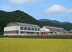 松江市立島根中学校  体育館